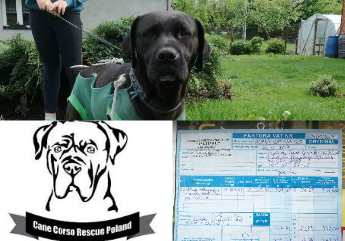 Faktura numer 03/05/2017 -Sterylizacja Nicoli